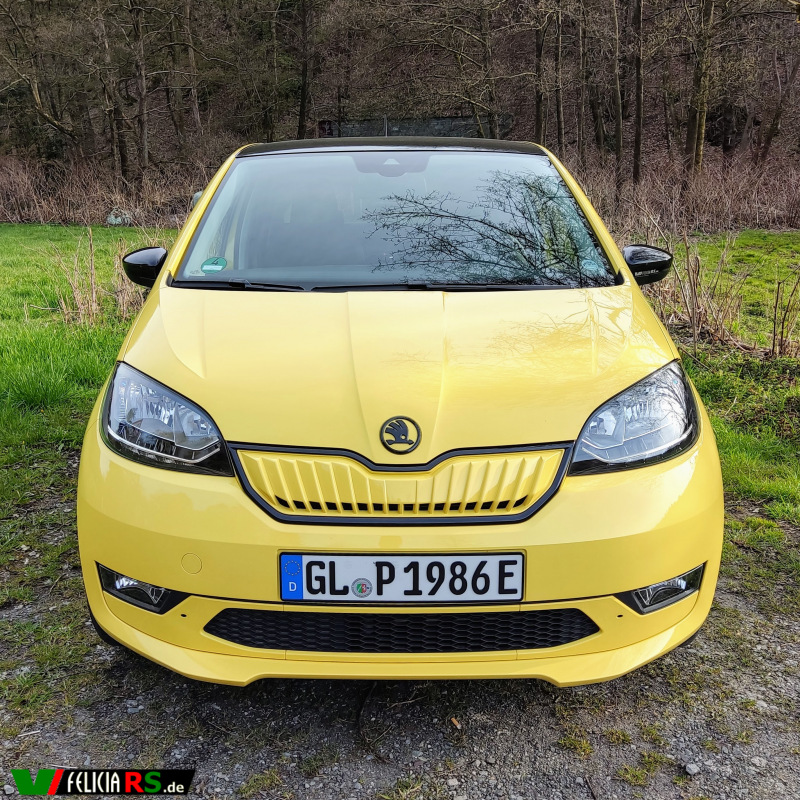 Grillrahmen vom Monte Carlo Facelift